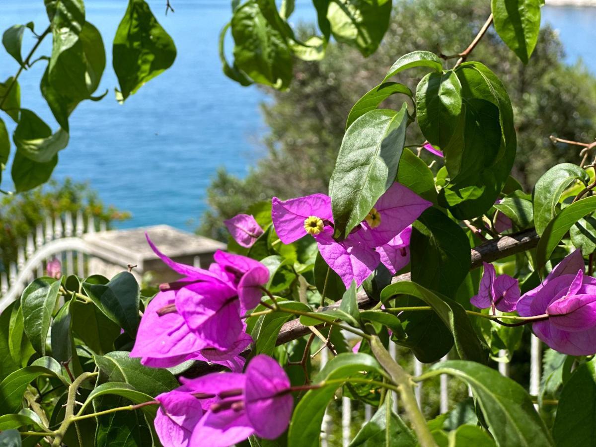 Luxury Seaside Villa With A Classic Mediterranean Olive Garden, A Fully Equipped Professional Kitchen, Pool, Sauna, Padle Boards And Canoe - Miolin Beach House Trogir Kültér fotó