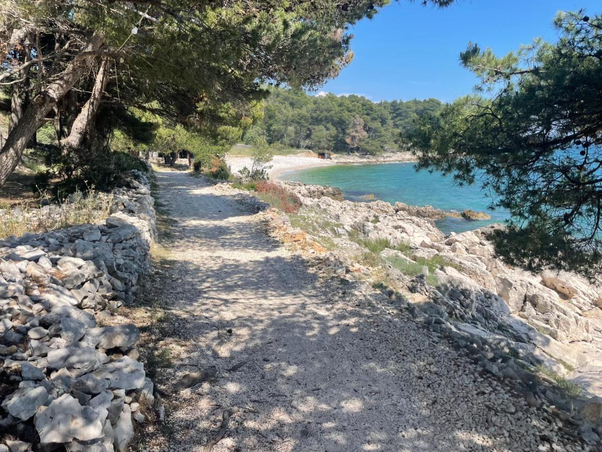 Luxury Seaside Villa With A Classic Mediterranean Olive Garden, A Fully Equipped Professional Kitchen, Pool, Sauna, Padle Boards And Canoe - Miolin Beach House Trogir Kültér fotó